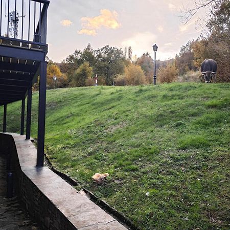 Villa R'Arco - Tucasaenlospirineos Escarrilla Exteriör bild